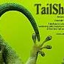 TailSharp – File Monitoring