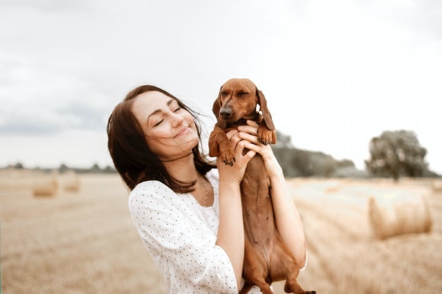 Kompostierbare Hundekotbeutel Kompostierbare Hundekotbeutel